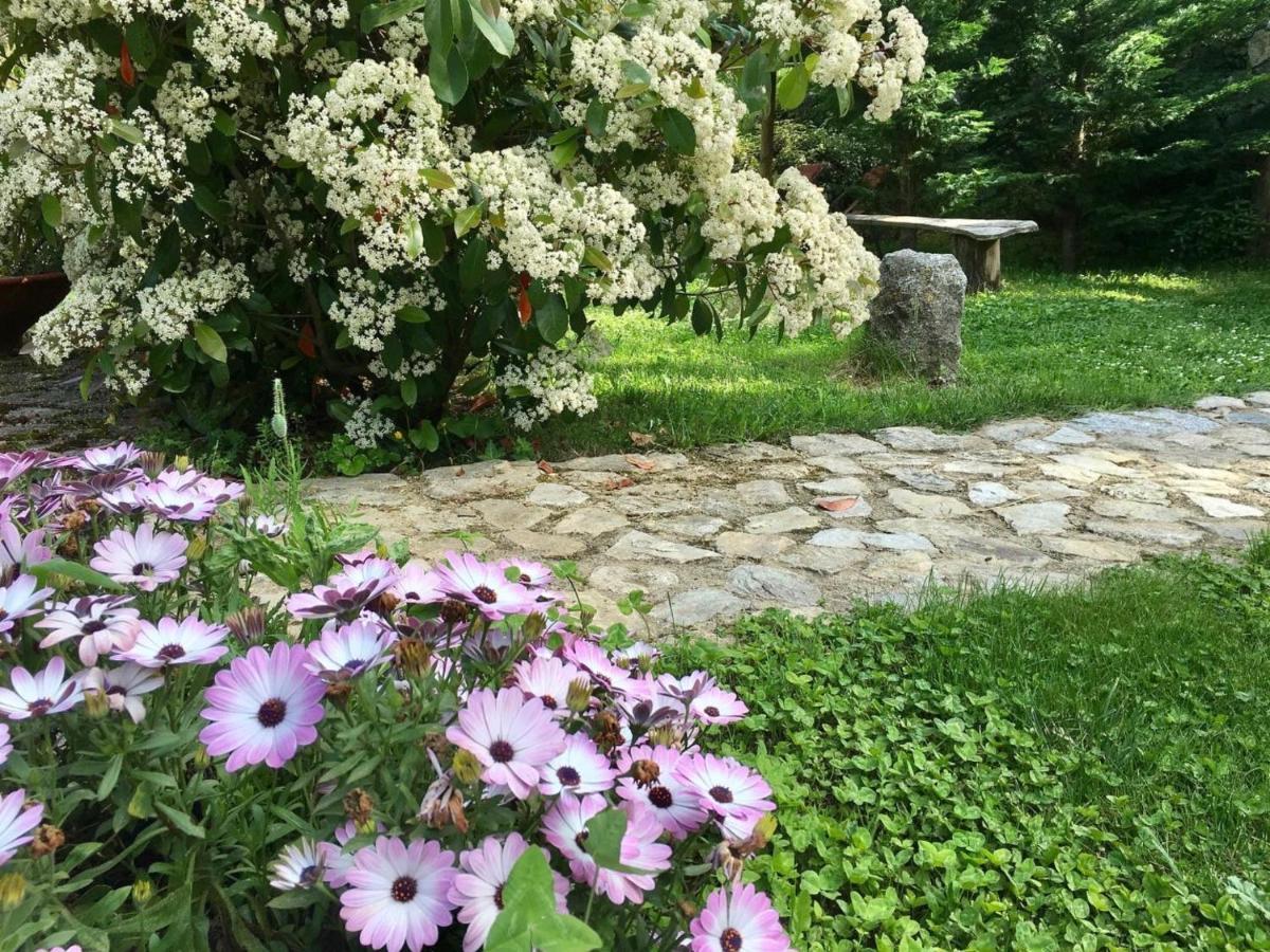 Chambres D'Hotes - Mulino Nannare Ville-di-Paraso エクステリア 写真